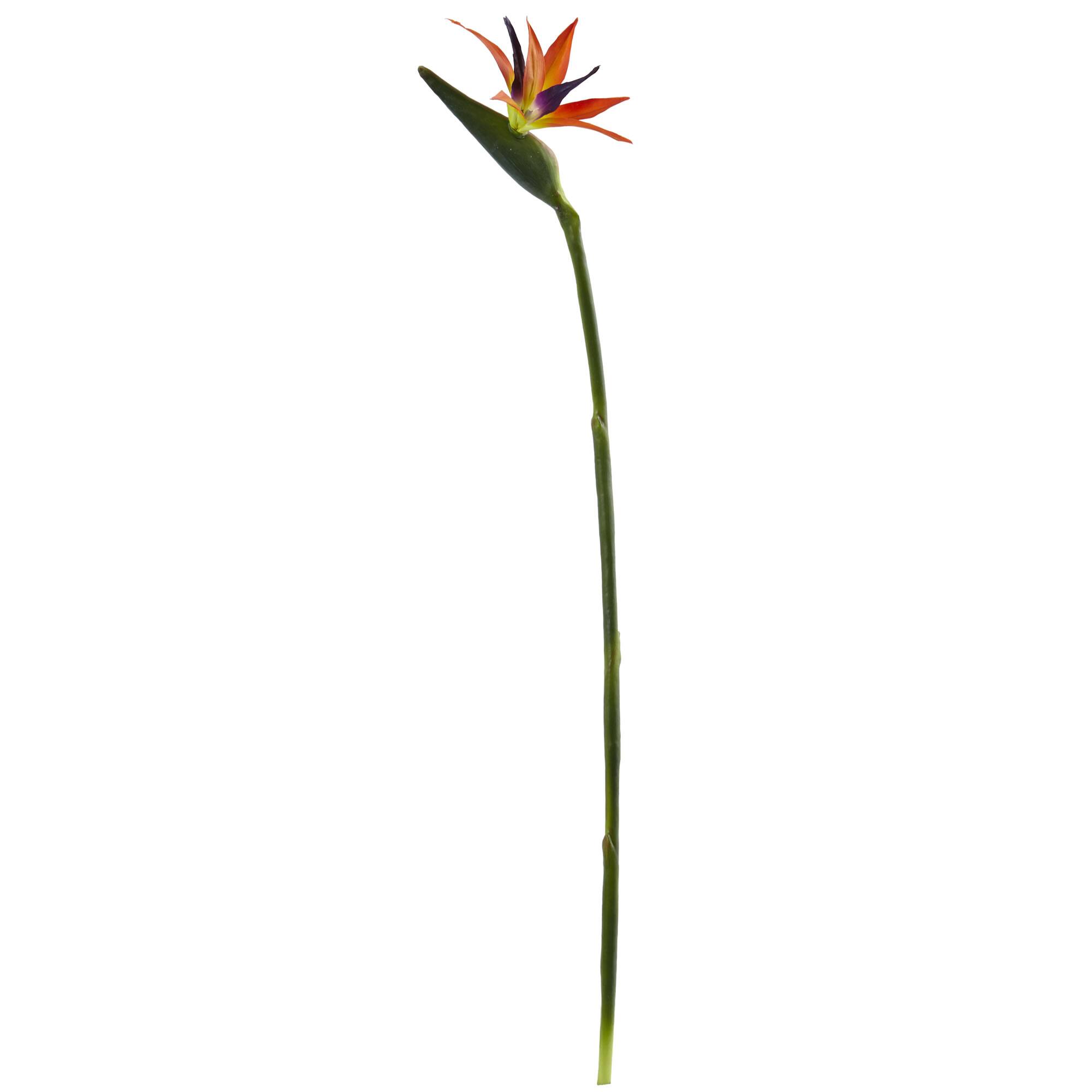 Orange Bird of Paradise Stems, 4ct.